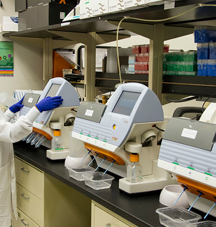 Imaging-Core Laboratory-Image